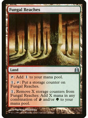 Fungal Reaches