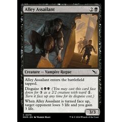 Alley Assailant