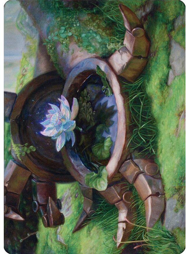 Timeless Lotus // Timeless Lotus (Art Series)
