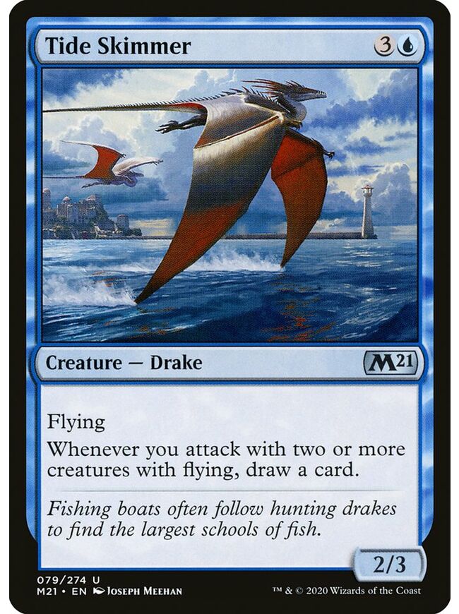 Tide Skimmer