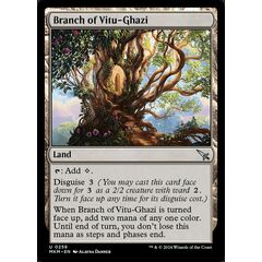 Branch of Vitu-Ghazi